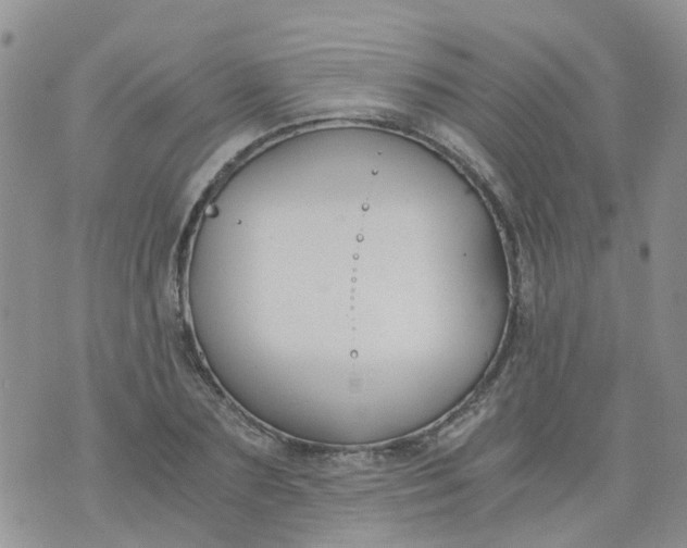 X0000073920883200609011806