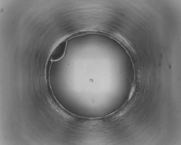 X0000073920884200609011806