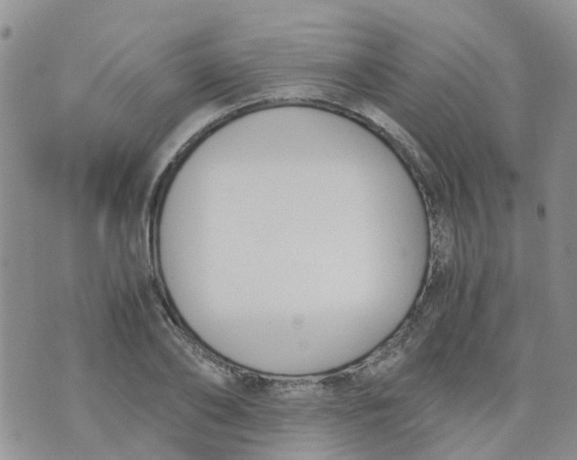 X0000073920886200609011806