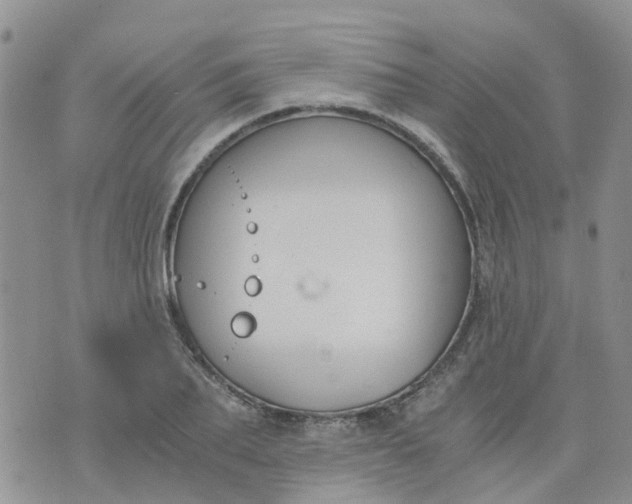 X0000073920887200609011806