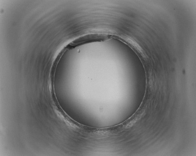 X0000073920888200609011806