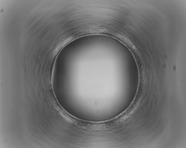 X0000073920889200609011806