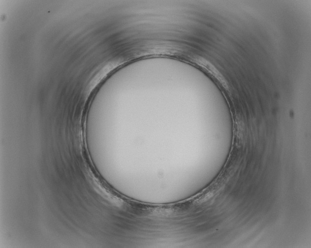 X0000073920890200609011806