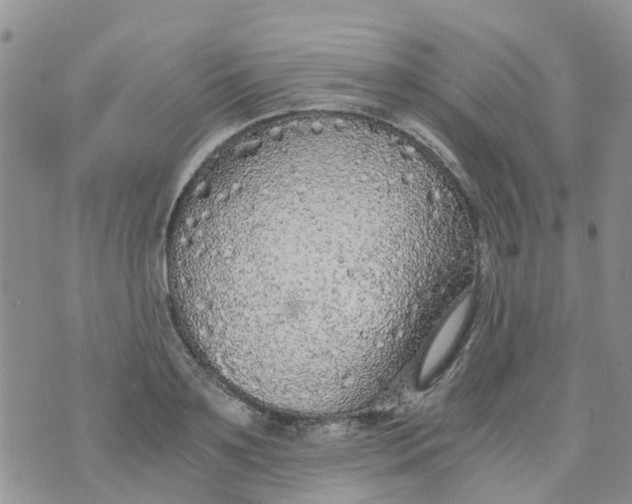 X0000073920891200609011806