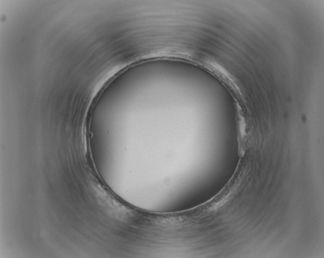 X0000073920892200609011806