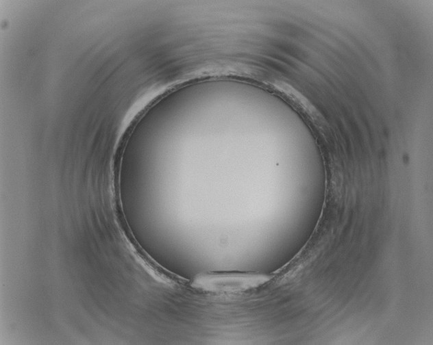 X0000073920894200609011806