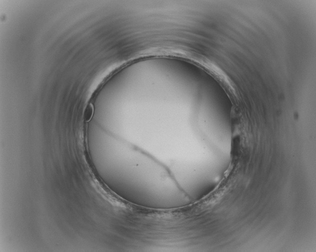 X0000073920896200609011806