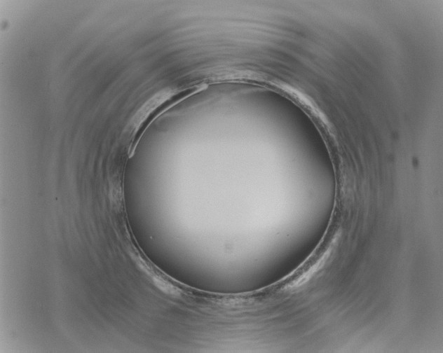 X0000073920897200609011806