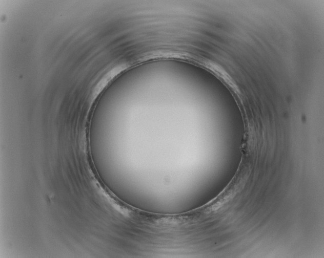 X0000073920898200609011806