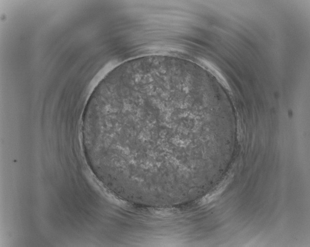 X0000073920899200609011806