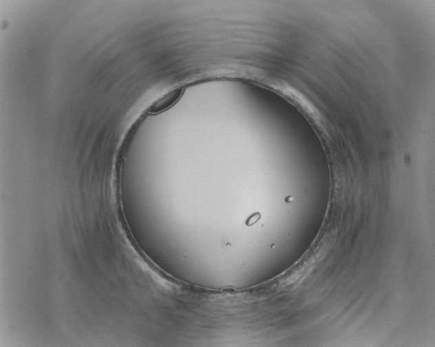 X0000073920902200609011806