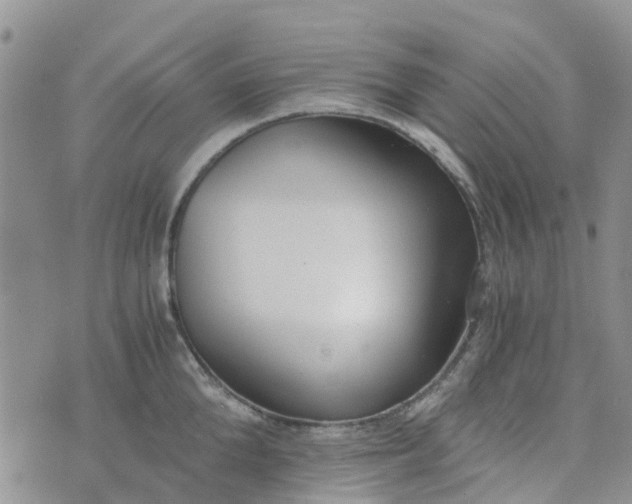 X0000073920904200609011806