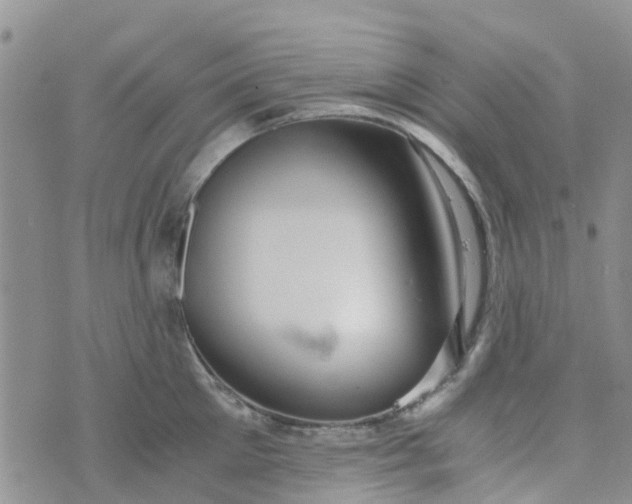 X0000073920905200609011806