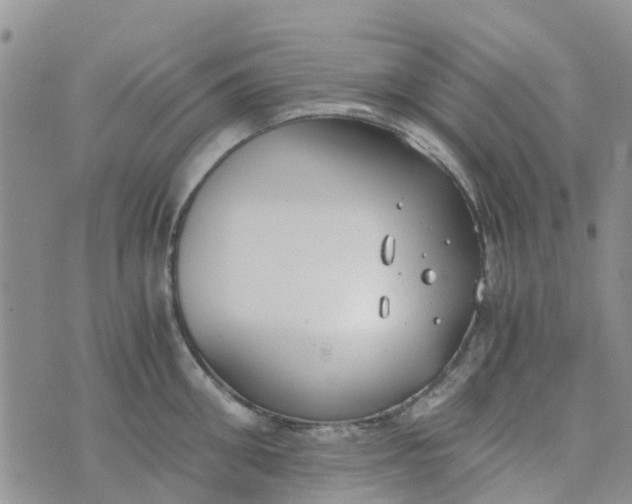 X0000073920906200609011806