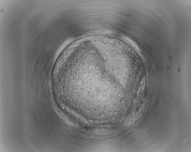 X0000073920907200609011806