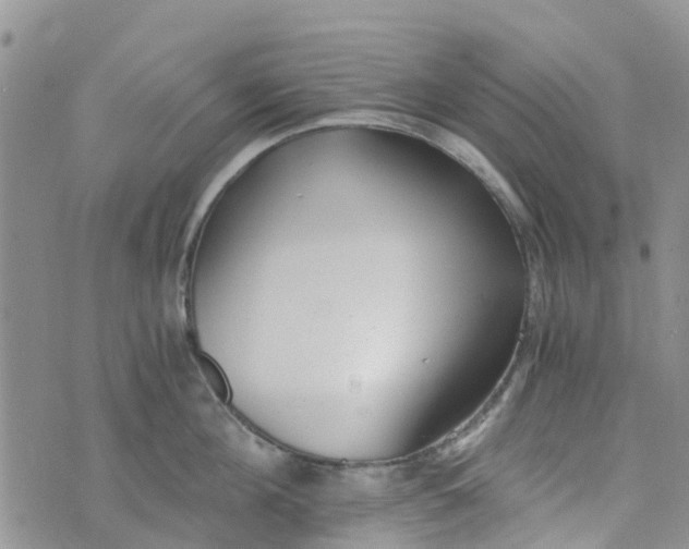 X0000073920908200609011806