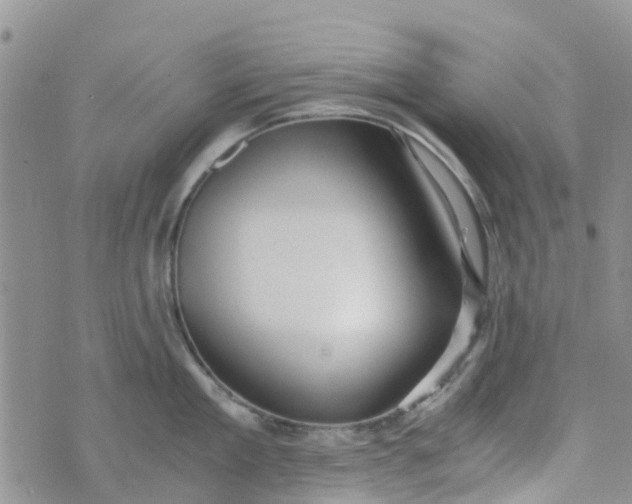 X0000073920909200609011806