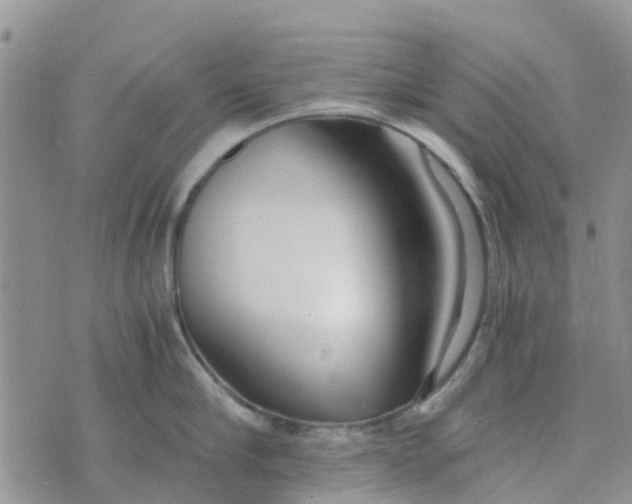 X0000073920910200609011806