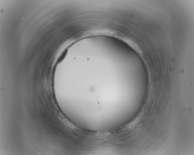 X0000073920912200609011806