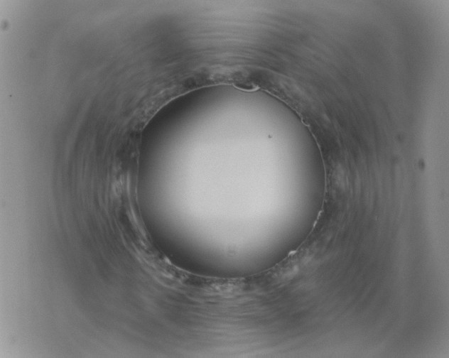 X0000073920914200609011805