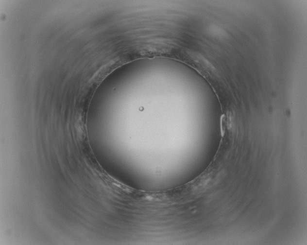 X0000073920915200609011805