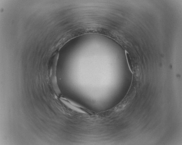 X0000073920916200609011805