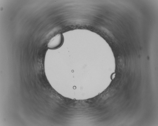 X0000073920918200609011805