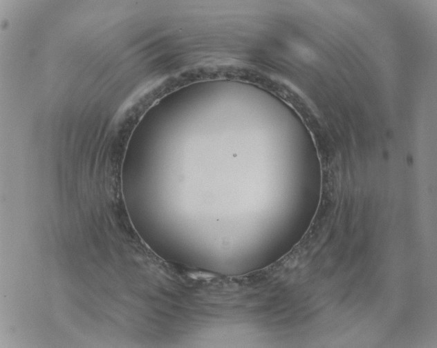 X0000073920919200609011805