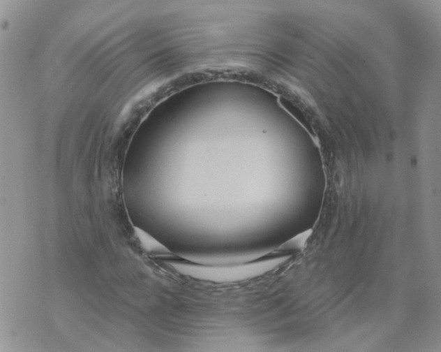 X0000073920920200609011805