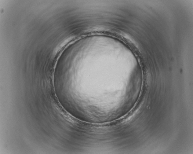 X0000073920921200609011805