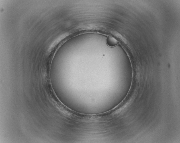 X0000073920922200609011805