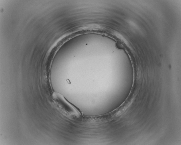 X0000073920923200609011805