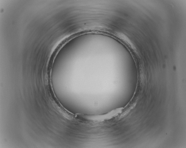 X0000073920924200609011805