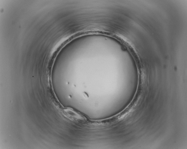 X0000073920925200609011805