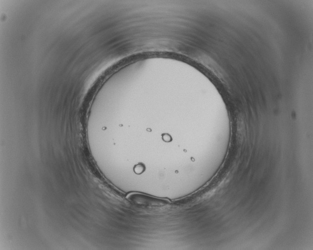 X0000073920926200609011805