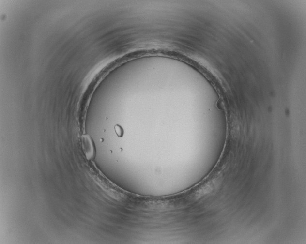 X0000073920927200609011805