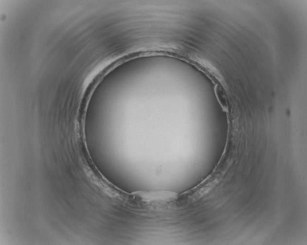 X0000073920928200609011805