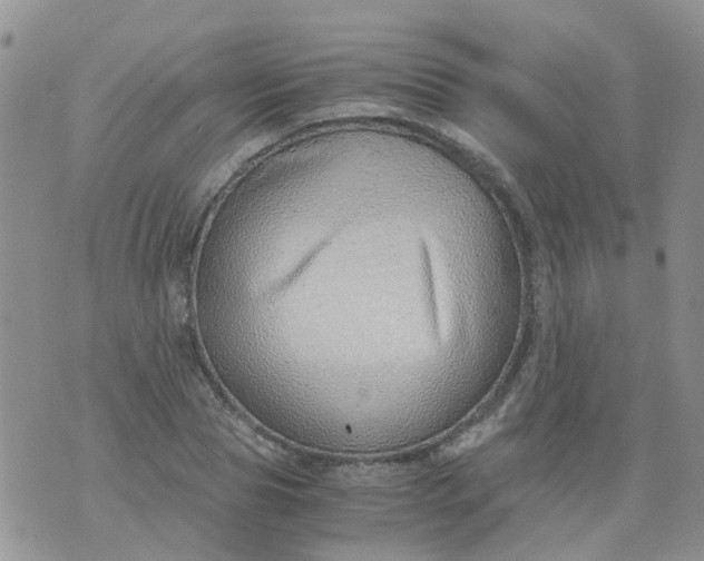 X0000073920929200609011805