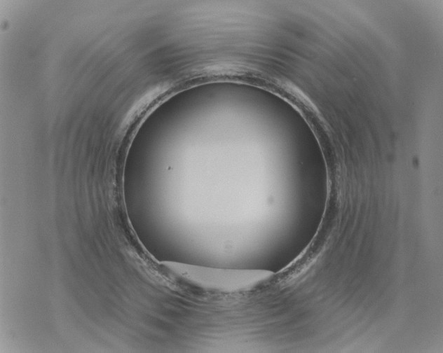 X0000073920930200609011805