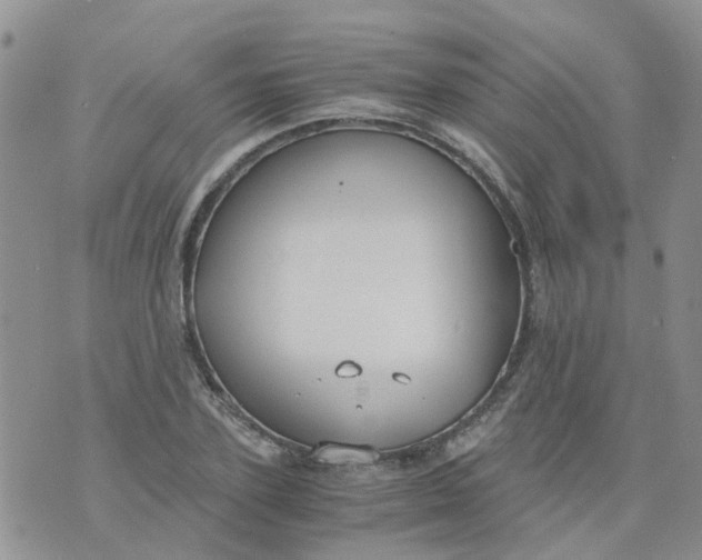 X0000073920931200609011805