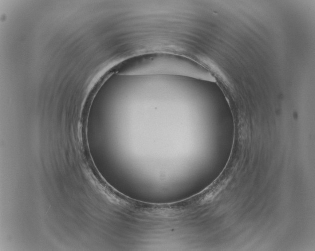 X0000073920932200609011805