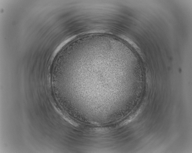 X0000073920933200609011805