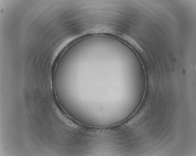 X0000073920934200609011805