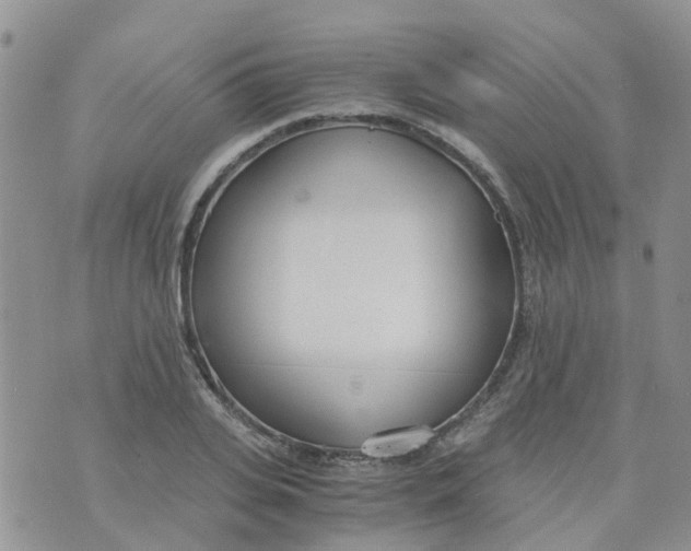 X0000073920935200609011805