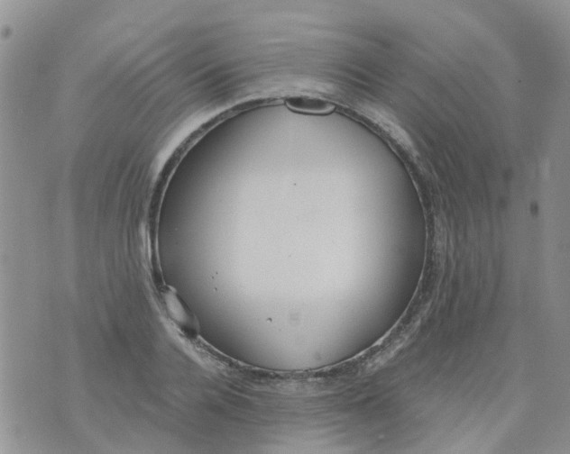 X0000073920936200609011805