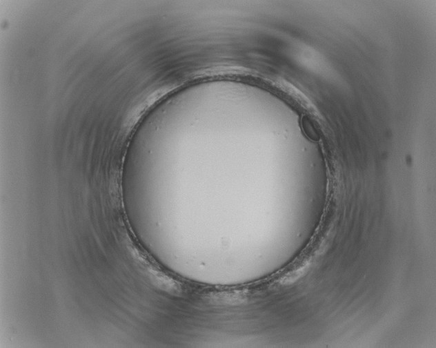 X0000073920937200609011805