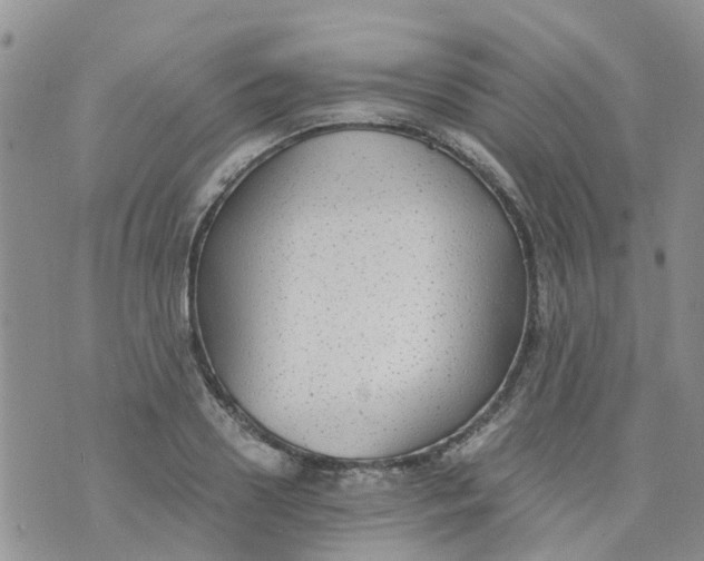 X0000073920938200609011805