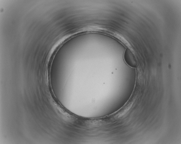 X0000073920939200609011805