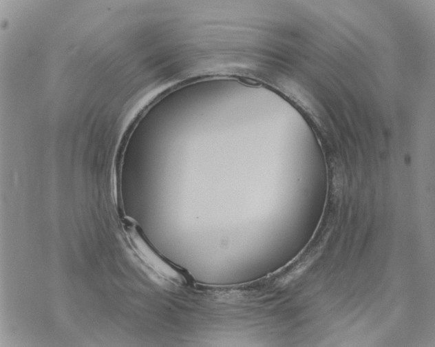 X0000073920940200609011805