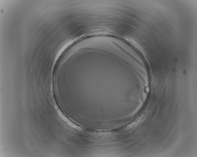 X0000073920941200609011805